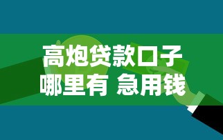高炮贷款口子哪里有 急用钱必下款的黑户口子