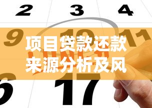 项目贷款还款来源分析及风险控制措施