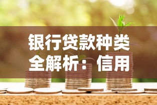 银行贷款种类全解析：信用贷、抵押贷、担保贷等分类详解及适用场景