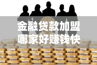 金融贷款加盟哪家好赚钱快风险小
