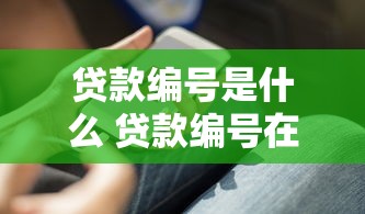 贷款编号是什么 贷款编号在哪里查看 贷款编号查询方法