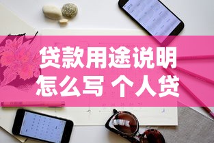 贷款用途说明怎么写 个人贷款用途详细填写指南