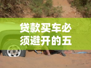 贷款买车必须避开的五大陷阱 新手必看防坑指南