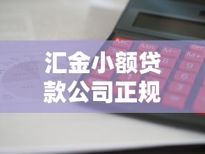 汇金小额贷款公司正规吗靠谱吗利息低放款快当天到账