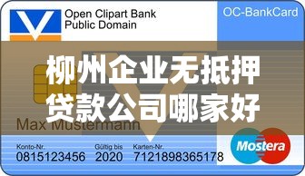 柳州企业无抵押贷款公司哪家好？2025最新信用贷申请指南