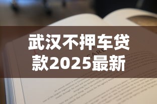 武汉不押车贷款2025最新政策解读及正规平台推荐