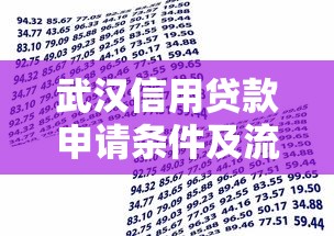 武汉信用贷款申请条件及流程 正规银行低息贷款快速放款