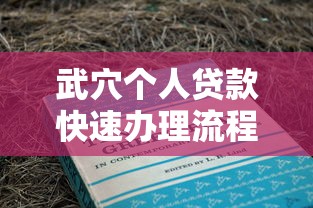 武穴个人贷款快速办理流程及条件要求