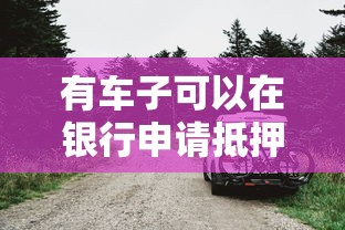 有车子可以在银行申请抵押贷款吗