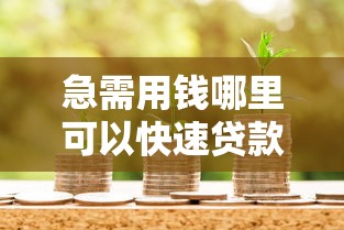 急需用钱哪里可以快速贷款