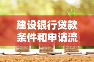 建设银行贷款条件和申请流程最新指南