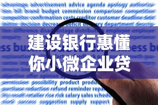建设银行惠懂你小微企业贷款申请条件及额度解析