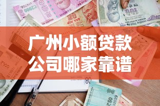 广州小额贷款公司哪家靠谱快速放款不查征信