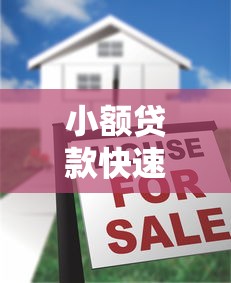 小额贷款快速审批照片