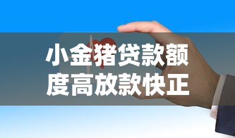 小金猪贷款额度高放款快正规平台安全可靠