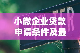 小微企业贷款申请条件及最新政策解读 如何轻松获得小微企业贷款