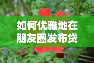 如何优雅地在朋友圈发布贷款相关动态