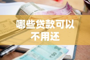 哪些贷款可以不用还