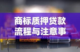 商标质押贷款流程与注意事项 2025年最新企业融资指南