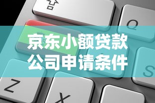 京东小额贷款公司申请条件及额度2025最新政策