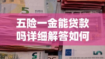 五险一金能贷款吗详细解答如何申请贷款条件与额度指南