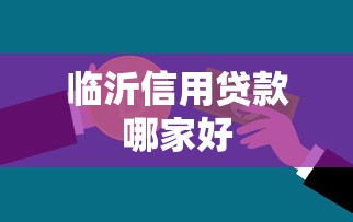 临沂信用贷款哪家好