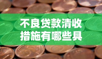 不良贷款清收措施有哪些具体方法如何分类实施
