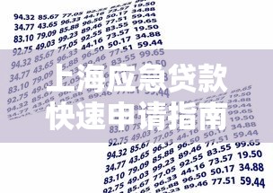 上海应急贷款快速申请指南 急需资金周转解决方案
