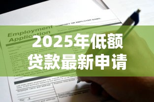 2025年低额贷款最新申请攻略 个人及小微企业低息贷款条件流程全解析