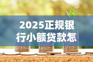 2025正规银行小额贷款怎么申请最新指南